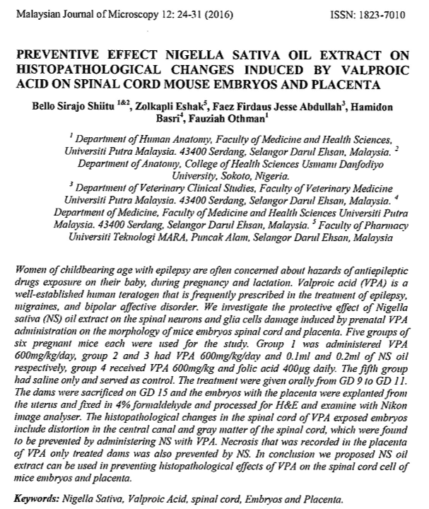 PDF_Vol_12_Paper_5_Abstract.PNG